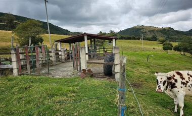 finca en venta en sin barrio. Cod V8715586