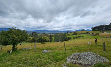 finca en venta en sin barrio. Cod V8715586