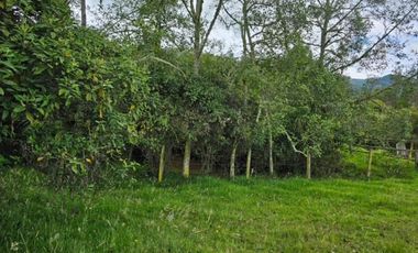 finca en venta en sin barrio. Cod V8715586