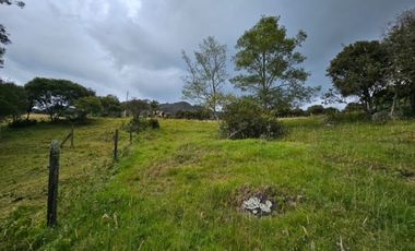 finca en venta en sin barrio. Cod V8715586