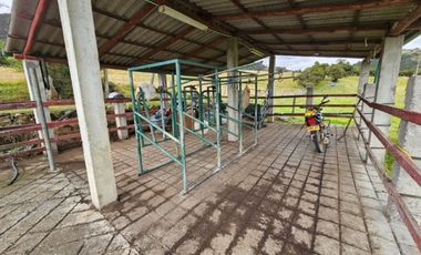 finca en venta en sin barrio. Cod V8715586