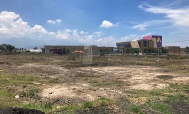 Terreno comercial en renta en Montecillo, Texcoco, México