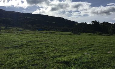 finca en venta en cundinamarca. Cod V8709945