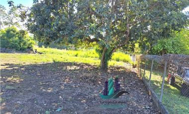 VENDO LOTE DE 480M2 DAVID