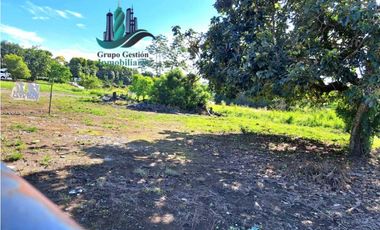 VENDO LOTE DE 480M2 DAVID