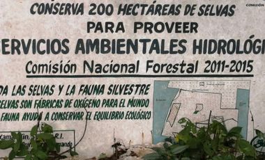 EN VENTA 1,000 HECTAREAS EN TEKAX, YUCATAN