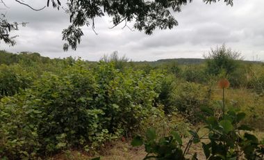 EN VENTA 1,000 HECTAREAS EN TEKAX, YUCATAN