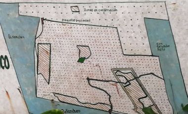 EN VENTA 1,000 HECTAREAS EN TEKAX, YUCATAN
