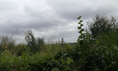 EN VENTA 1,000 HECTAREAS EN TEKAX, YUCATAN