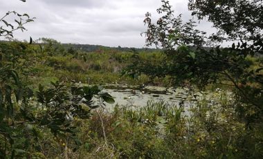 EN VENTA 1,000 HECTAREAS EN TEKAX, YUCATAN