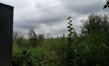 EN VENTA 1,000 HECTAREAS EN TEKAX, YUCATAN