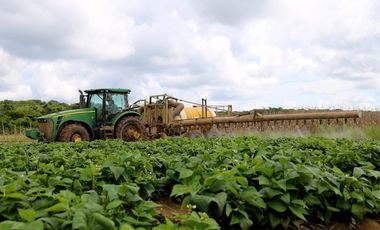 EN VENTA 1,000 HECTAREAS EN TEKAX, YUCATAN