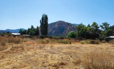 Agrícola en Venta en Pelequen viejo