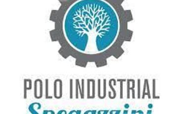 Galpón 2000m2 en Pque Industrial Spegazzini