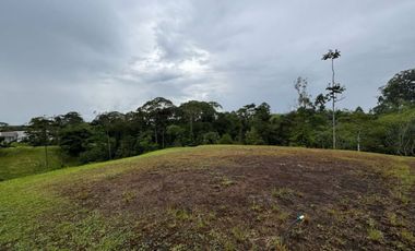 lote en venta en via variante condina. Cod V19106