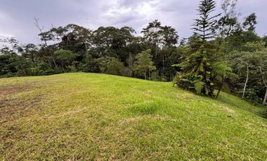 lote en venta en via variante condina. Cod V19106