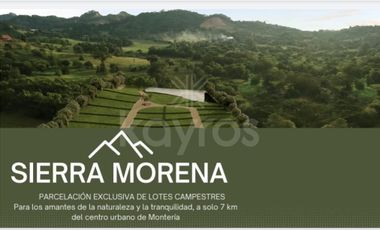 Sierra Morena, Lotes Campestres a orilla de carretera en la vía Montería - Planeta Rica con facilidad de pago.