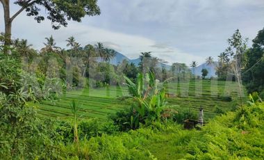 Tanah view sawah penebel tabanan