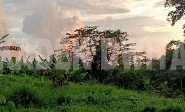 Tanah view sawah penebel tabanan