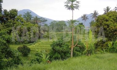Tanah view sawah penebel tabanan