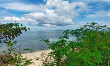 Beach Lots 2.2 Hectares & 1.7 Hectares in Tabuelan Cebu