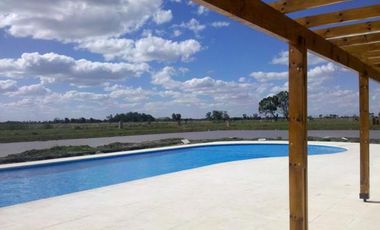 CAMPOS DE VICTORIA CANNING! ULTIMOS LOTES.