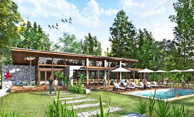 CAMPOS DE VICTORIA CANNING! ULTIMOS LOTES.