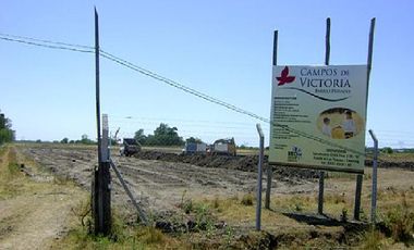 CAMPOS DE VICTORIA CANNING! ULTIMOS LOTES.