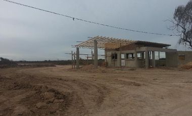 CAMPOS DE VICTORIA CANNING! ULTIMOS LOTES.