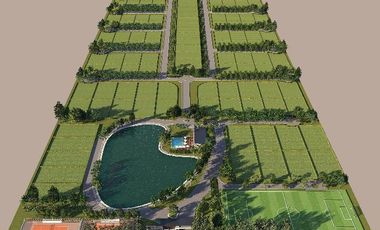 CAMPOS DE VICTORIA CANNING! ULTIMOS LOTES.