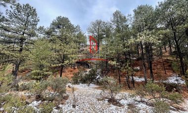 Cabaña Venta Bocoyna, Chihuahua 1,190,000 Edmgon RGC