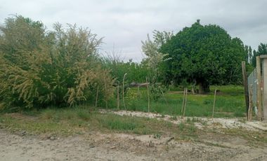 Lote en Stefenelli Sur