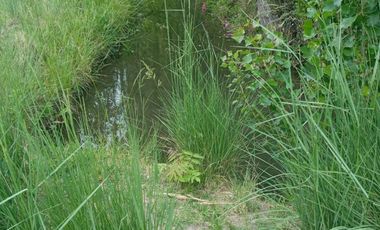 Lote en Stefenelli Sur