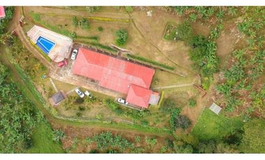FINCA EN VENTA - BUENAVISTA (QUINDO)