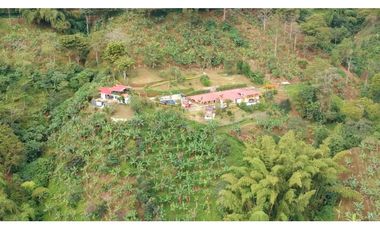 FINCA EN VENTA - BUENAVISTA (QUINDO)