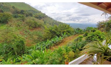 FINCA EN VENTA - BUENAVISTA (QUINDO)
