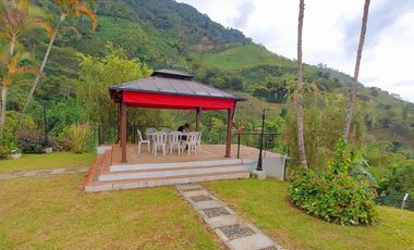 FINCA EN VENTA - BUENAVISTA (QUINDO)