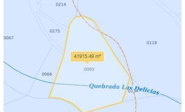 FINCA EN VENTA - BUENAVISTA (QUINDO)
