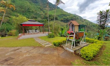FINCA EN VENTA - BUENAVISTA (QUINDO)