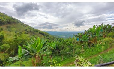 FINCA EN VENTA - BUENAVISTA (QUINDO)