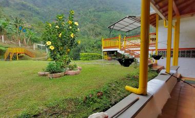 FINCA EN VENTA - BUENAVISTA (QUINDO)