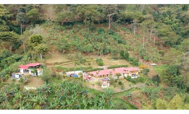 FINCA EN VENTA - BUENAVISTA (QUINDO)