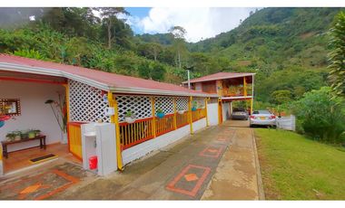 FINCA EN VENTA - BUENAVISTA (QUINDO)