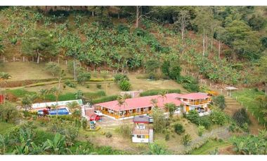 FINCA EN VENTA - BUENAVISTA (QUINDO)
