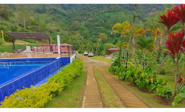 FINCA EN VENTA - BUENAVISTA (QUINDO)
