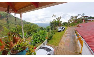 FINCA EN VENTA - BUENAVISTA (QUINDO)