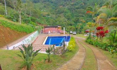 FINCA EN VENTA - BUENAVISTA (QUINDO)