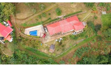 FINCA EN VENTA - BUENAVISTA (QUINDO)