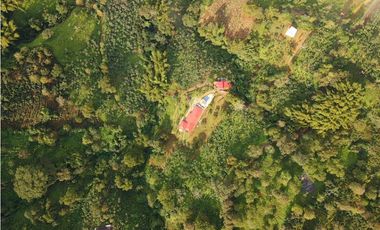 FINCA EN VENTA - BUENAVISTA (QUINDO)