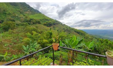 FINCA EN VENTA - BUENAVISTA (QUINDO)